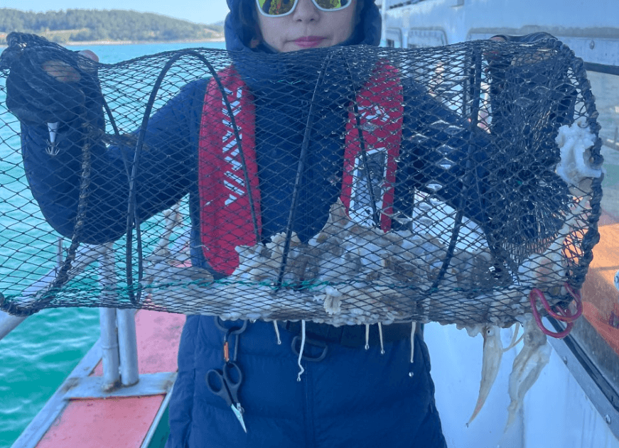 fish-image-2