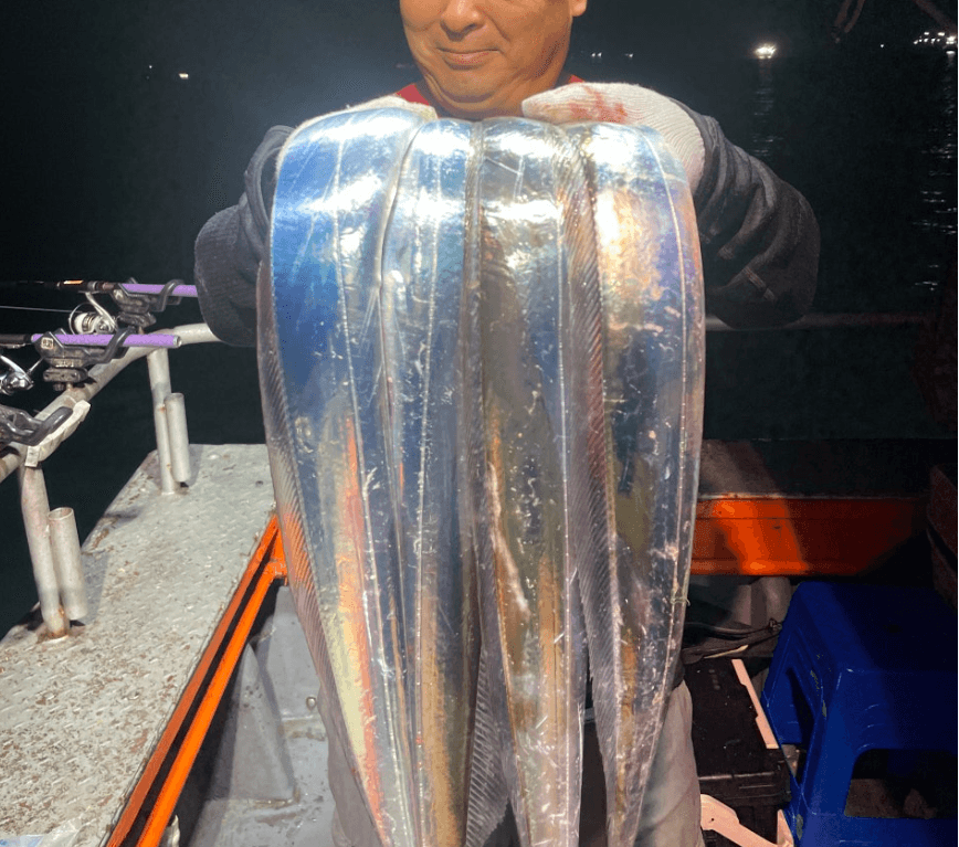 fish-image-3