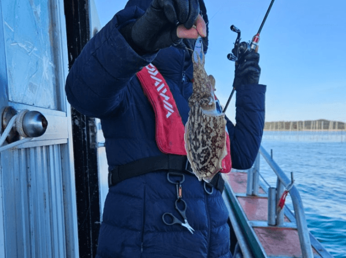 fish-image-1